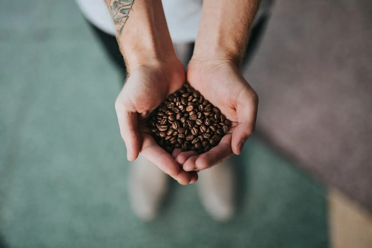 Café orgánico vs café de especialidad: diferencias clave y cuál elegir 