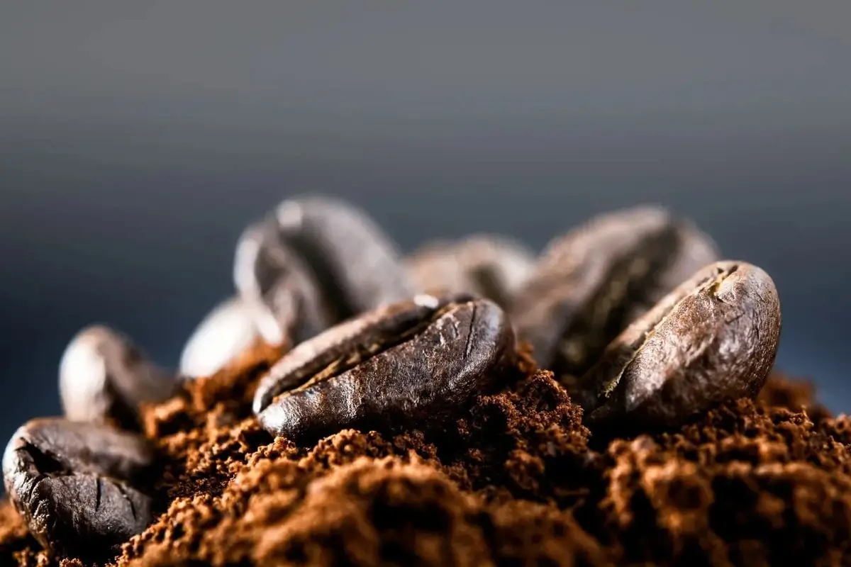 Café recién molido vs café molido: diferencias reales en sabor y por qué importa