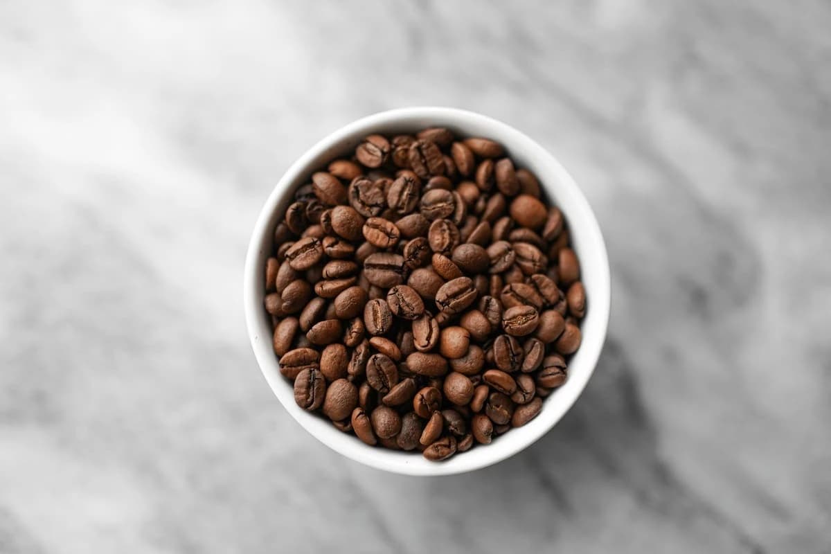 Qué significa que un café sea de temporada (y por qué importa tanto)