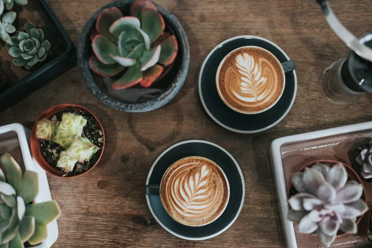 Cómo preparar un espresso perfecto en casa: guía completa paso a paso