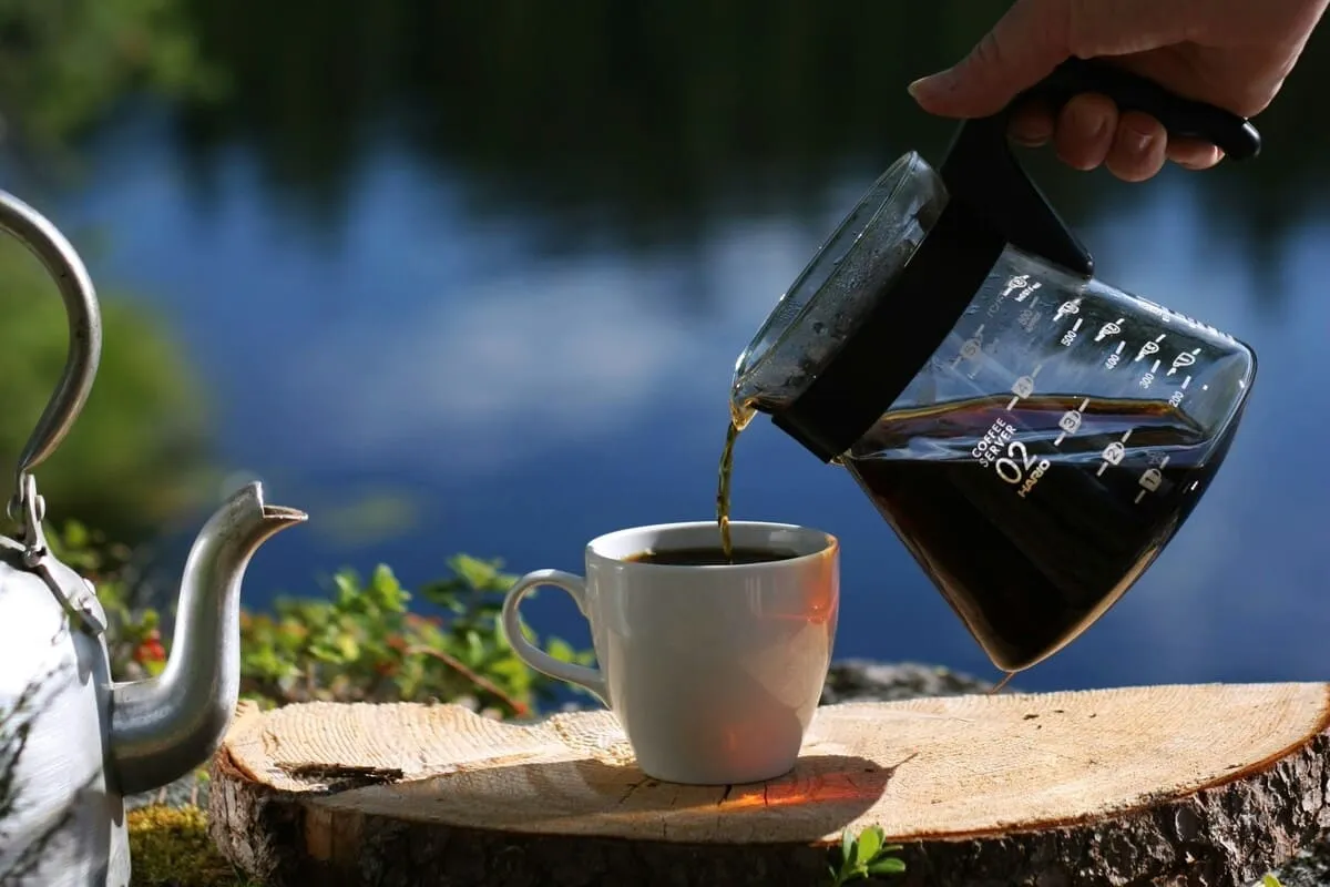French Press: guía completa para preparar café de especialidad en casa