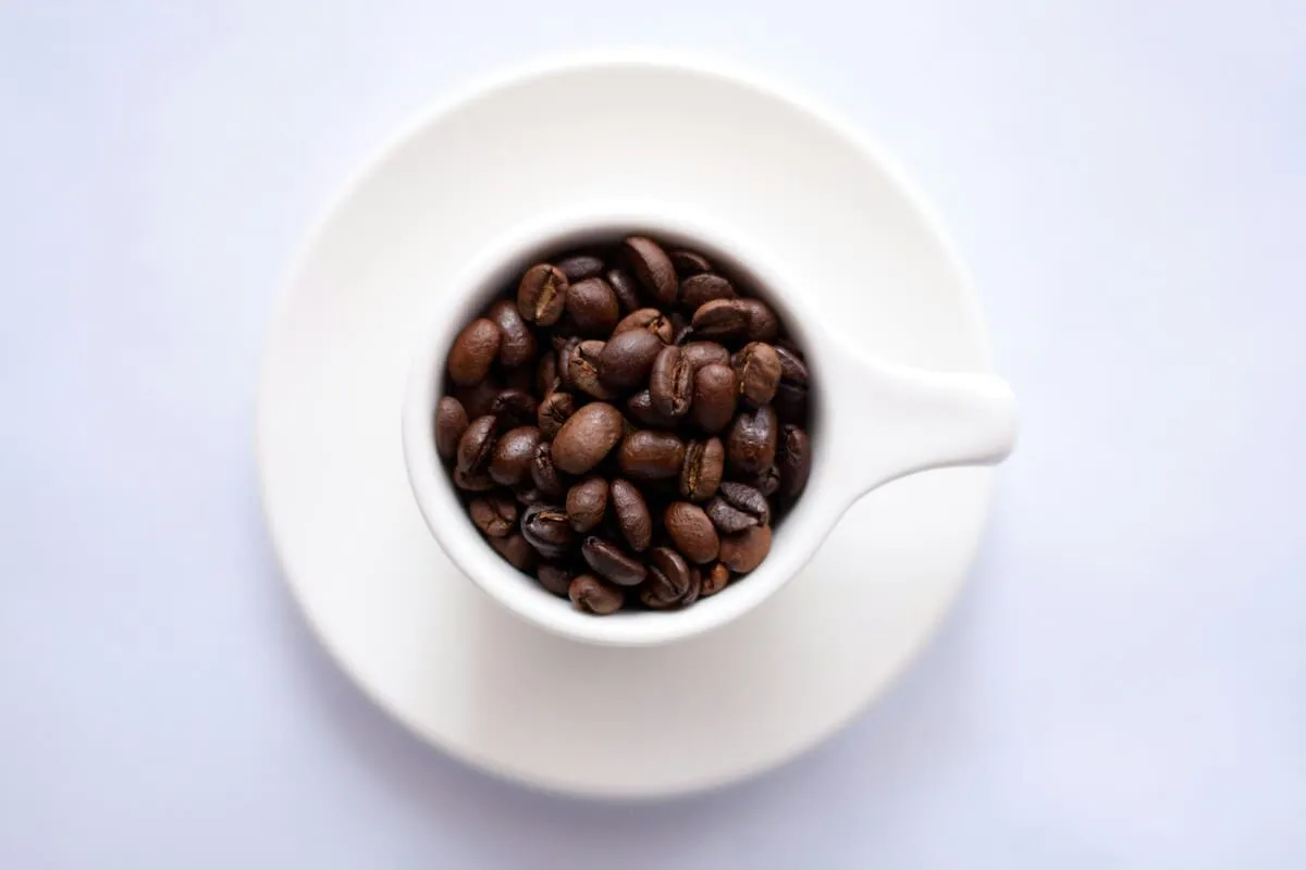 Cómo iniciarte en el mundo del café de especialidad: guía completa paso a paso