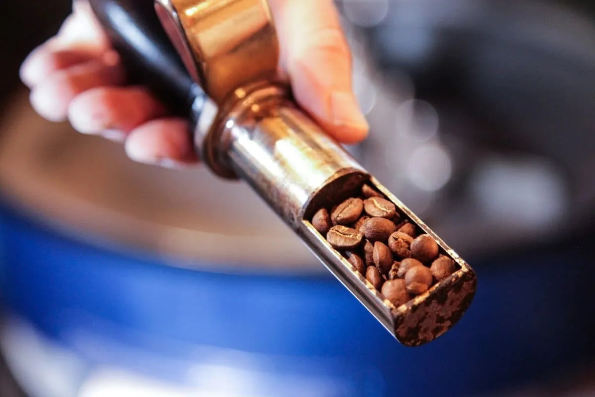 Niveles de tueste en café de especialidad: claro, medio y oscuro