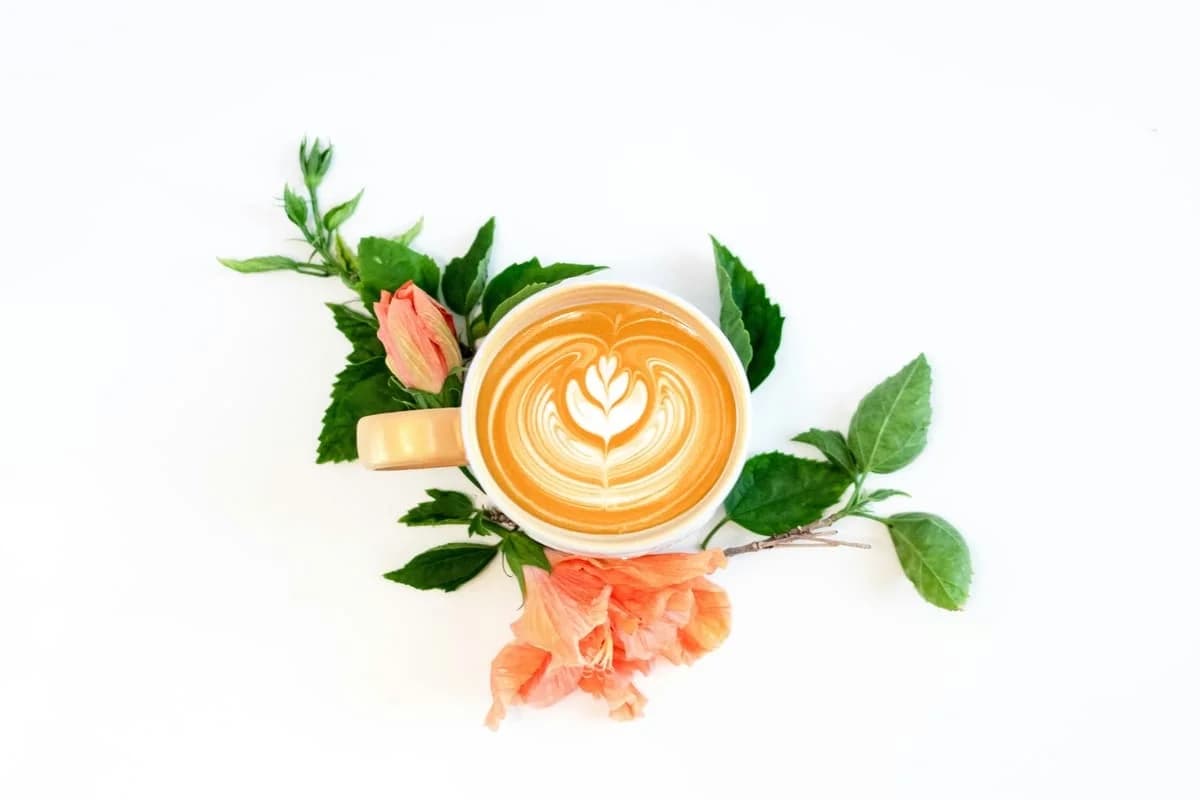 Qué es el blooming del café y por qué es clave para una buena extracción