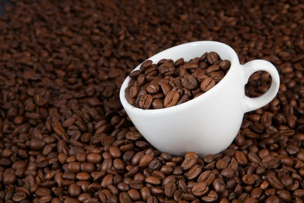 Qué es el café de especialidad y por qué está revolucionando el mundo del café