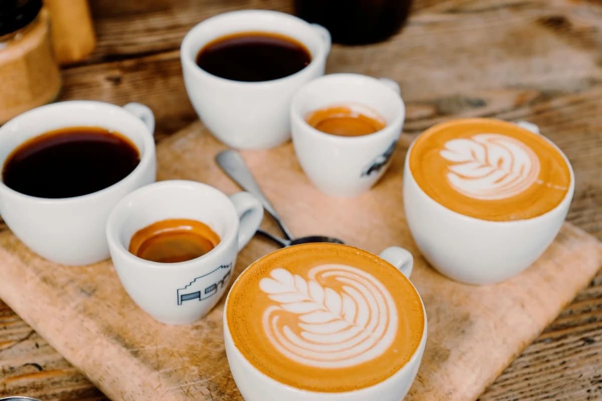 Qué tazas usar para cada tipo de café: guía completa con medidas y materiales