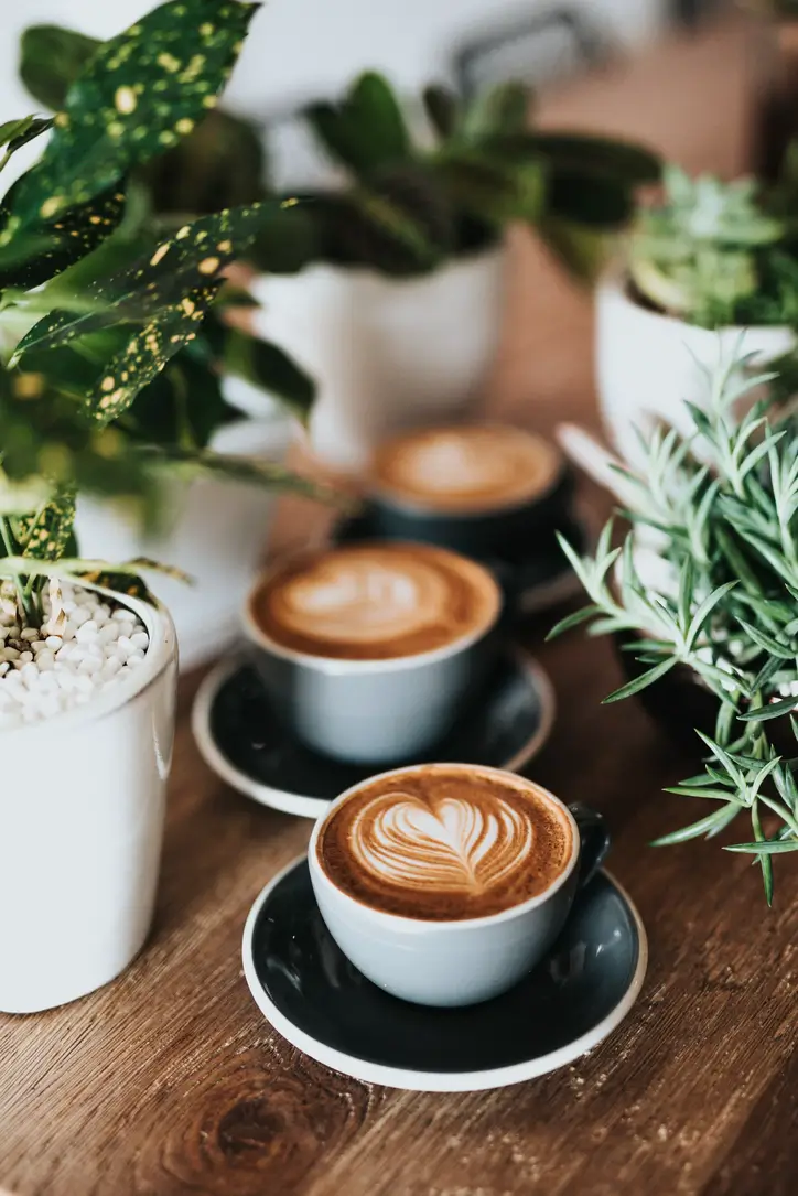Tres tazas de café con latte art sobre una mesa de madera, entre plantas